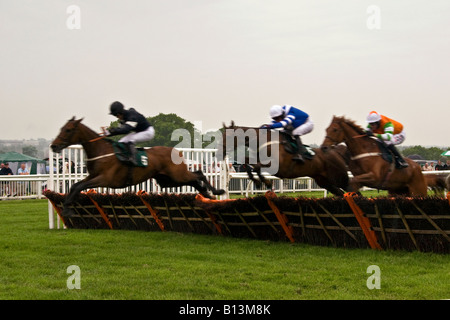 Horses and Jockey`s jumping over the hurdles during The Gold Cup Steeplechase event at Scone Palace Park Racecourse Perth,UK Stock Photo